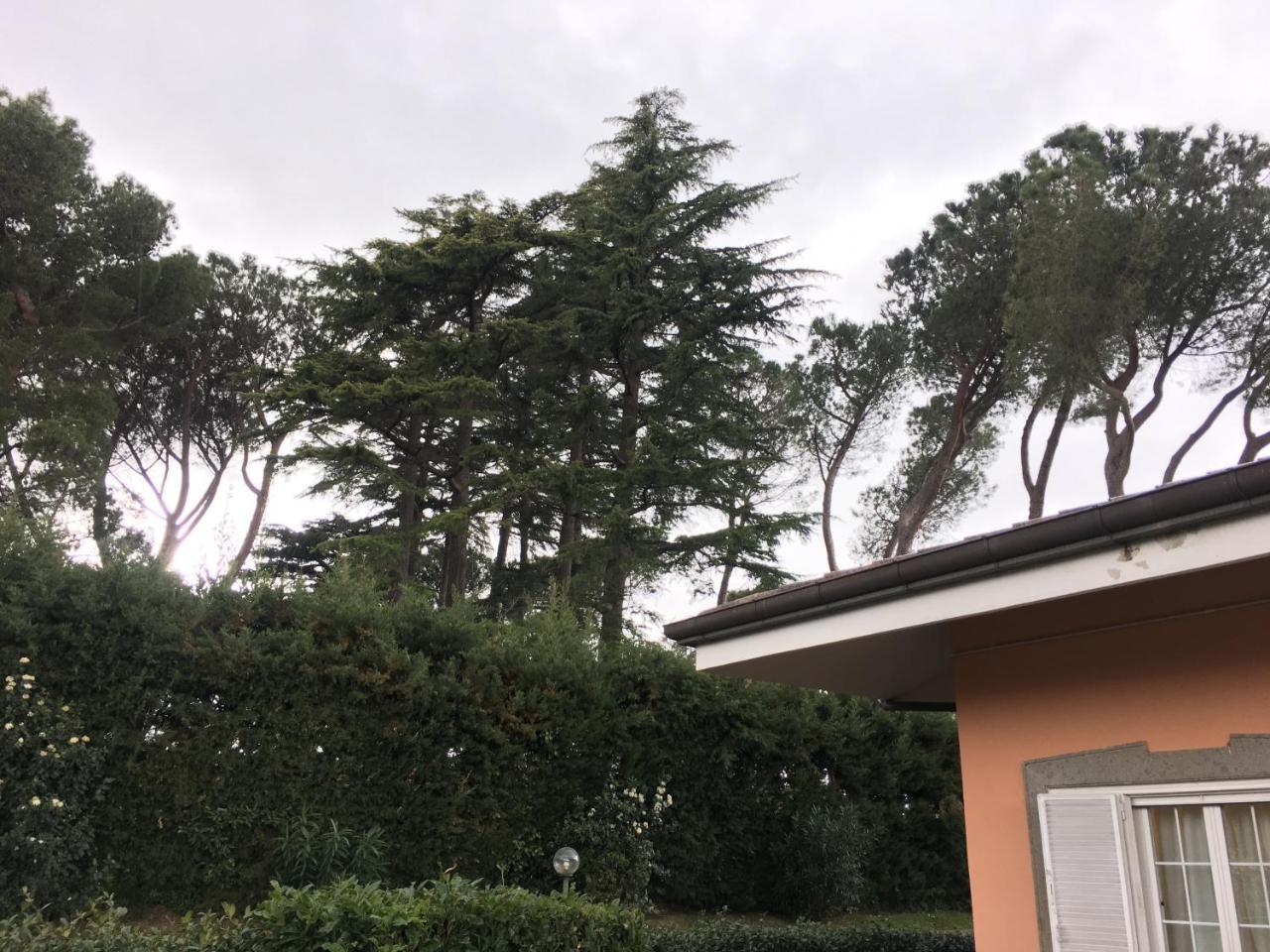 Villagio B&B Frascati Exterior foto